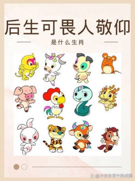 生肖最大的属相(生肖最大的属相是哪个?新手3分钟看懂)