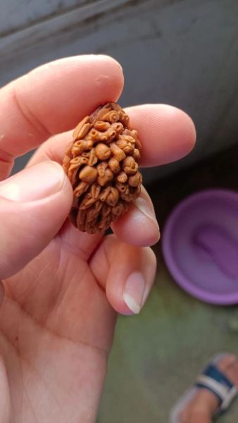 桃核雕刻生肖属相(桃核雕刻生肖属相教程)