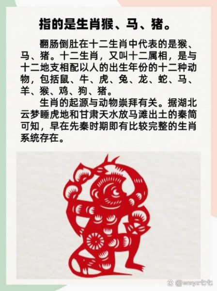 长尾的生肖属相（长尾的生肖属相指什么）