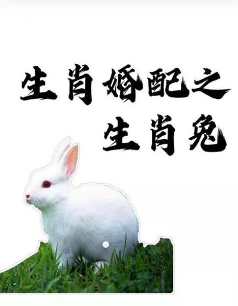 属相兔相配什么生肖（属兔和什么生肖最相配）