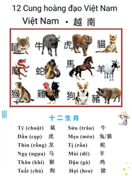 小属相有哪些生肖和属相（小属相有哪些生肖详解😸）