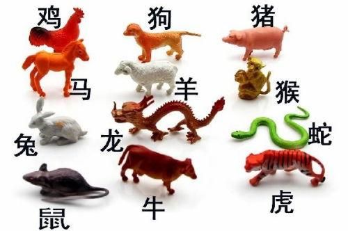 36年属相什么生肖（36年出生的人属什么生肖）