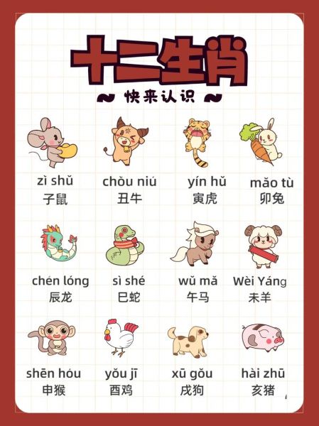 什么叫属相生肖（什么叫属相生肖？小白版全解）