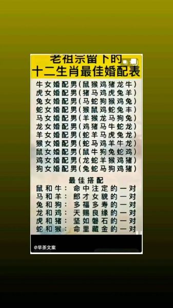 牛马属相夫妻生肖配对（牛马属相适合做夫妻吗）