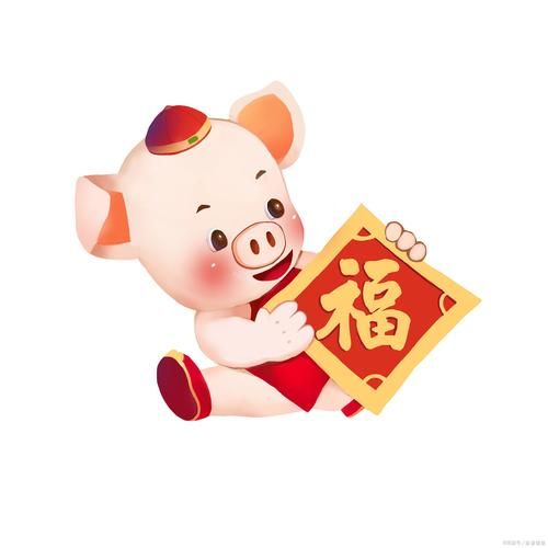 95属相什么生肖(95年属什么生肖的?看完不纠结)