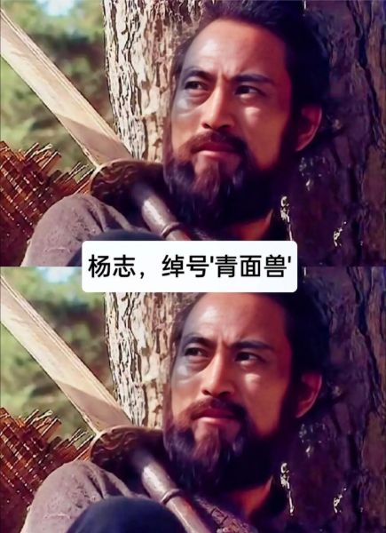 杨志属相是什么生肖（杨志属什么生肖属相）