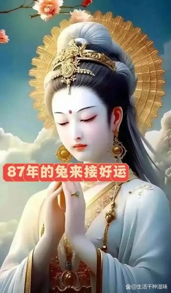 87属相什么生肖(87年属什么生肖?🐯属兔人的运势科普)