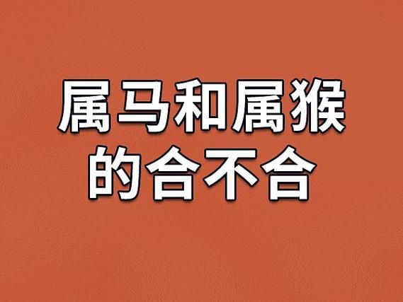 生肖猴不合属相（生肖猴和什么属相不合）