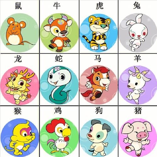十二生肖属相怎么组合