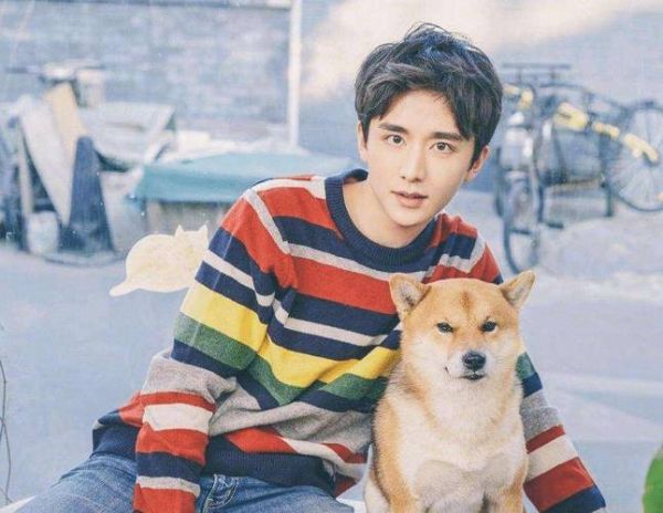 张新成属相是什么生肖（张新成属什么生肖？小白看这里）