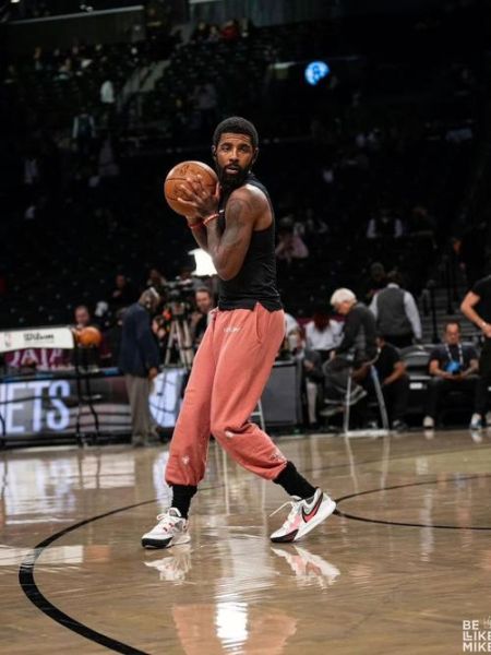 欧文什么属相生肖（欧文生肖属什么？速查指南🔍）