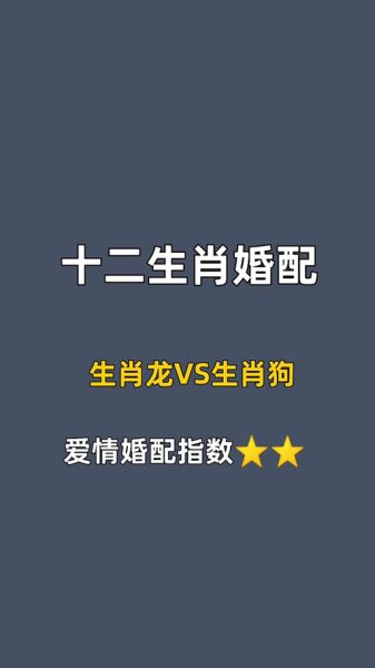 狗狗龙家庭生肖属相（狗狗龙家庭生肖冲突怎么办）