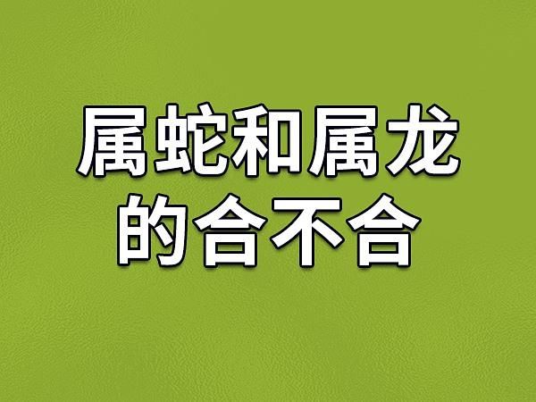 生肖龙与生肖蛇属相合吗（属龙跟属蛇的合不合婚？一文看懂）