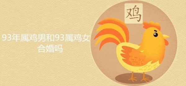 生肖鸡与什么属相（生肖鸡与什么生肖最配）