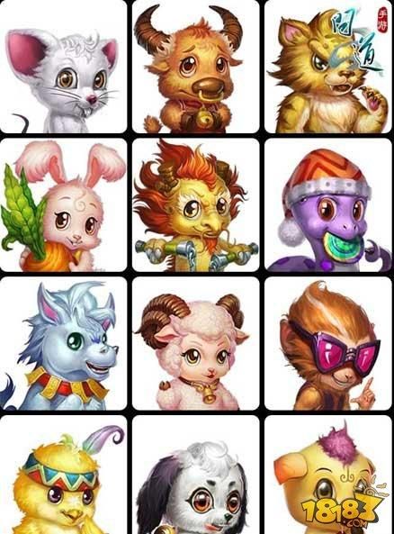 问道12生肖属相（问道12生肖属相如何选择加点✨）