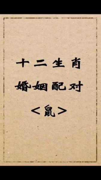 生肖鼠与什么属相相合