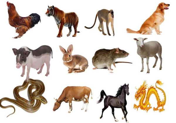 大属相生肖有哪些