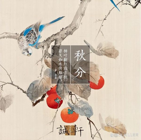 秋分对应什么生肖属相(秋分是什么生肖)