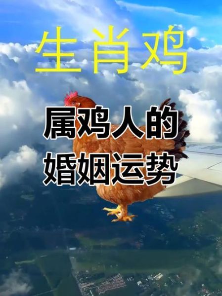 生肖鸡婚配属相（生肖鸡最佳配偶是什么属相）