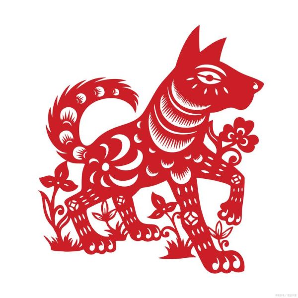 花狗属什么生肖属相（花狗属什么生肖？）