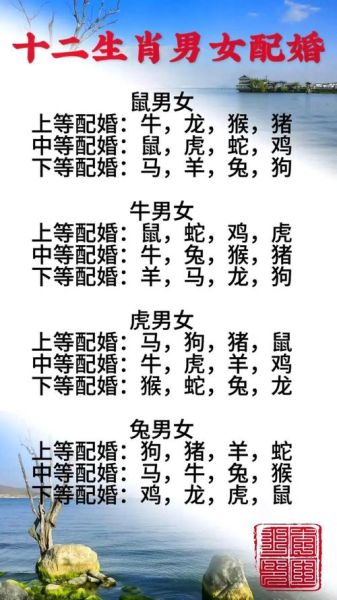 生肖属相相合的组合（生肖属相最佳婚配组合有哪些）