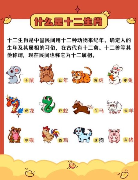 生肖属相区别（生肖属相到底怎么分？小白一分钟看懂）