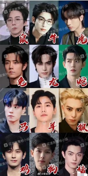 男明星的生肖属相（男明星生肖查询大全）