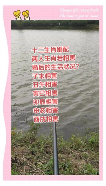 生肖不合的夫妻属相（生肖不合的夫妻真的能幸福吗？）