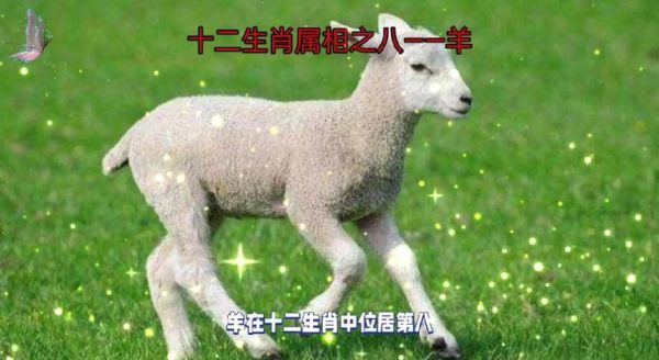 属相羊的生肖故事（属羊的生肖传说完整版）