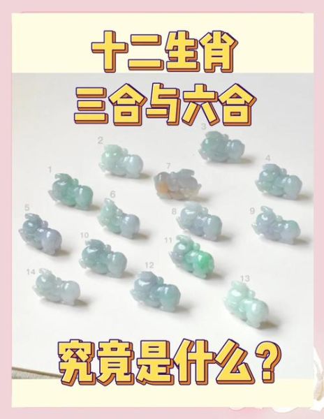 属相老虎下面是什么生肖（属相老虎下面是什么生肖？）