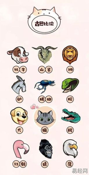 羊之前属相是什么生肖（羊之前属相是马 🐴😊）