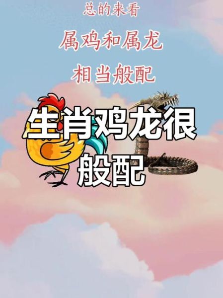 和生肖鸡利的属相（生肖鸡和什么属相最配？冲与合都在这）