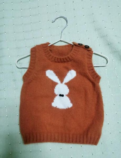 属相生肖背心兔（属相兔背心怎么挑才不踩雷？）