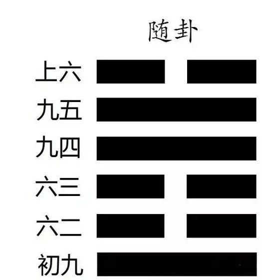 随卦对应生肖属相图（随卦对应生肖属相图到底怎么看？小白速懂版）