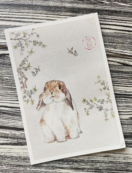 古风生肖公主属相兔（古风生肖公主属兔手绘教程）