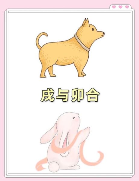 狗兔生肖相合属相（🐶🐰狗兔生肖相合吗？）