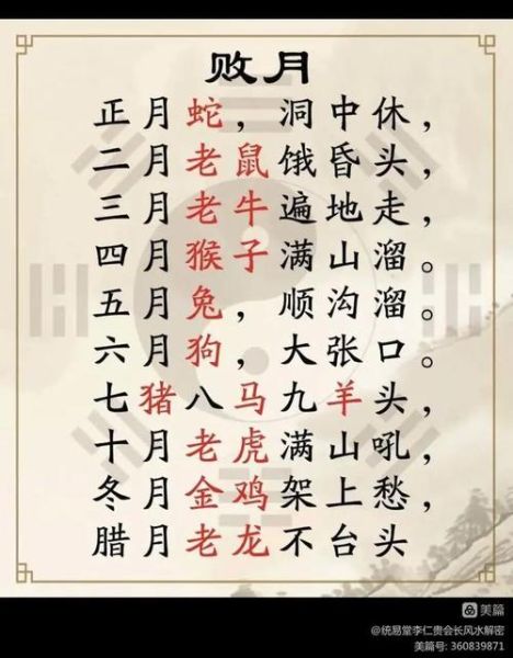 十二生肖破月属相（十二生肖破月是啥？新手一看秒懂）