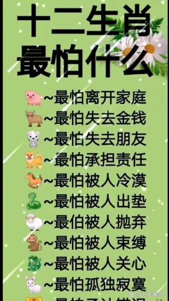 说说的属相生肖懦弱（属什么生肖最懦弱）