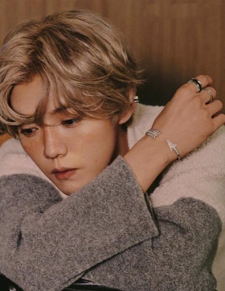 鹿晗属相什么生肖（鹿晗属什么生肖🐑新手一看就懂）