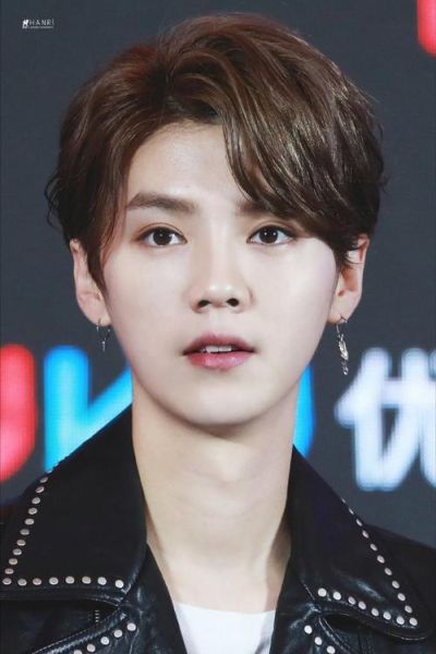 鹿晗属相什么生肖（鹿晗属什么生肖🐑新手一看就懂）