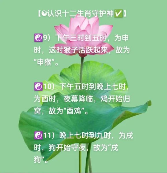 酉时忌什么生肖属相（酉时忌什么生肖属相？新手最想知道的回答）