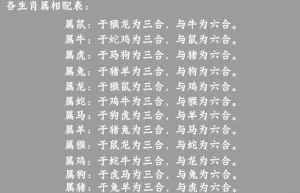 十二生肖四合属相是什么（十二生肖四合属相详解新手秒懂版）