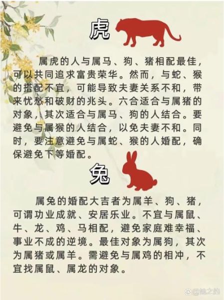 同属相幸福的生肖（同属相的婚姻能幸福吗）