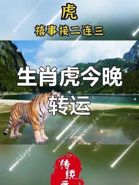 虎属相怕什么生肖（属虎最怕的生肖是谁）