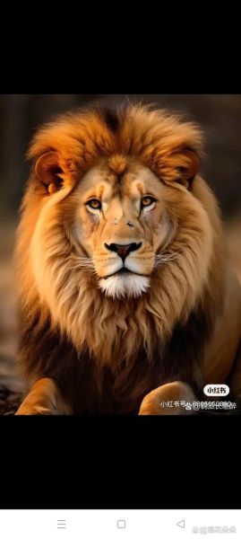 狮子属于哪种生肖属相（狮子是哪一年出生的生肖）