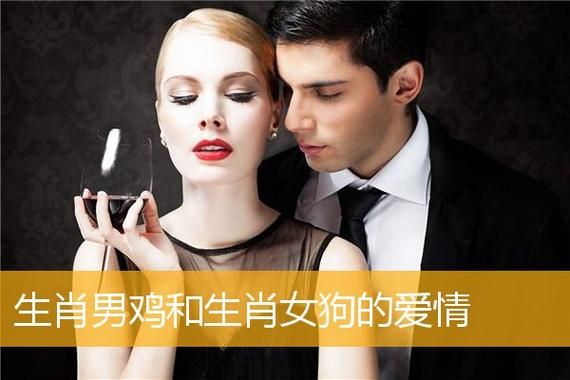 鸡与狗生肖属相配对（鸡与狗婚配好不好）