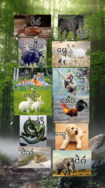 老挝生肖属相（老挝属相按公历还是傣历算🤔）