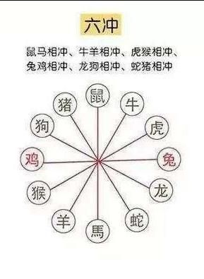 死宅生肖有哪些属相（12生肖里谁最容易变死宅？）