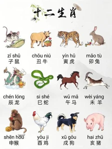 生肖属相图案（2025最新高清生肖属相图案大全🎨）