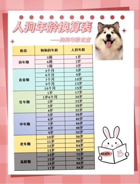 属相狗生肖年份（属相狗生肖年份对照表及年龄速查）